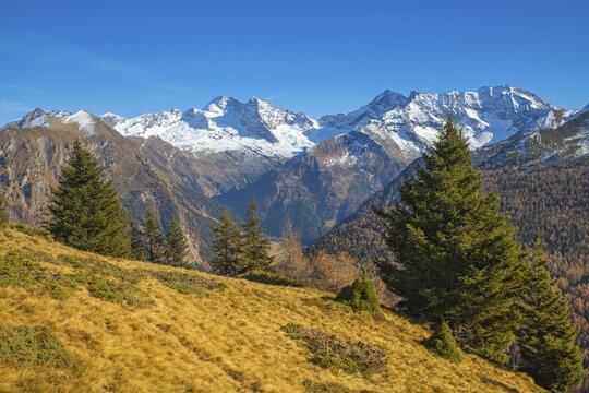 Autumnal mountain landscape at Padauner Kogl, behind the Olperer, Fu&szlig;stein, Schrammacher and Hohe Wand, Padauner Kogl, Gries am Brenner, Tyrol, Austria