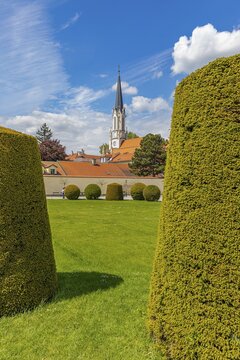 Spherical and trapezoidal common box (Buxus sempervirens) bushes, Maria Hietzing church in the back, Vienna, Austria