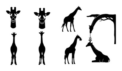 Giraffe Silhouettes Collection, African Wildlife Vector Icons, Elegant Animal Poses, Safari Nature Graphics, Black and White Mammal Art © Ayesha
