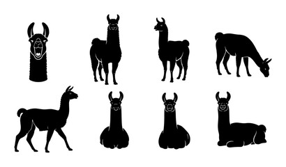 Llama Silhouette Collection, Vector Icons Set, South American Camelid Poses, Farm Animal Graphics, Simple Black and White Illustrations © Shaila