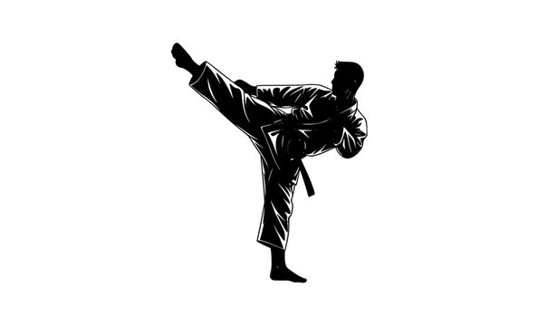 Karate silhouette martial arts high kick flat vector illustration isolated on white background