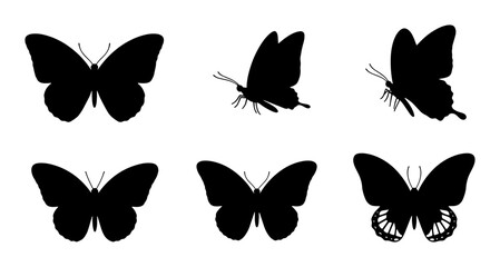Black Butterfly Silhouettes Collection, Insect Winged Vector Graphics, Delicate Flying Moth Icons for Nature Design © Arif