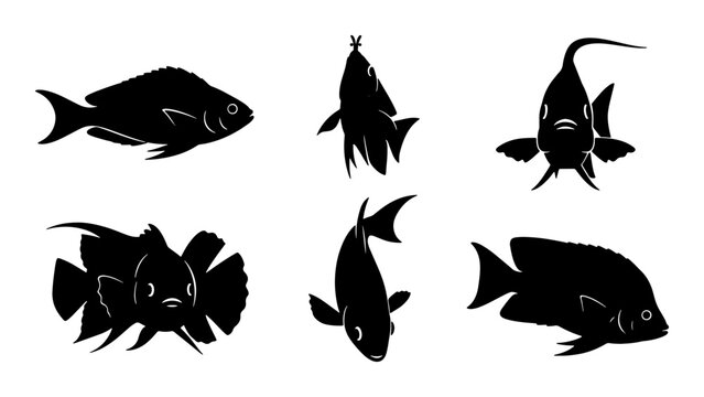 Diverse Fish Silhouettes Collection, Marine Life Vector Icons, Aquatic Animals Set for Oceanography and Aquarium Design