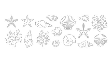 A collection of hand drawn marine life illustrations including seashells starfish and coral. © Syakira_Muhtar