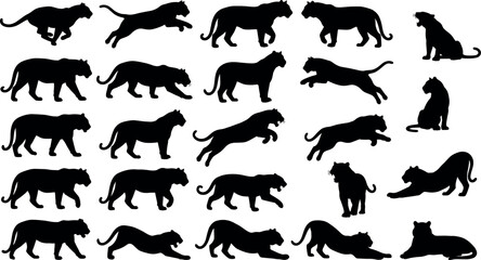 Fototapeta premium Big Cat Silhouette Collection Featuring Panther Leopard and Wild Feline Poses in Action and Rest