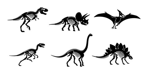 Dinosaur Skeletons Collection: Prehistoric Reptile Anatomy Icons, Ancient Fossil Illustrations, Paleontology Vector Graphics for Educational and Thematic Designs © MdShakil