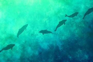 Fototapeta premium Graceful dolphins swimming in turquoise waters