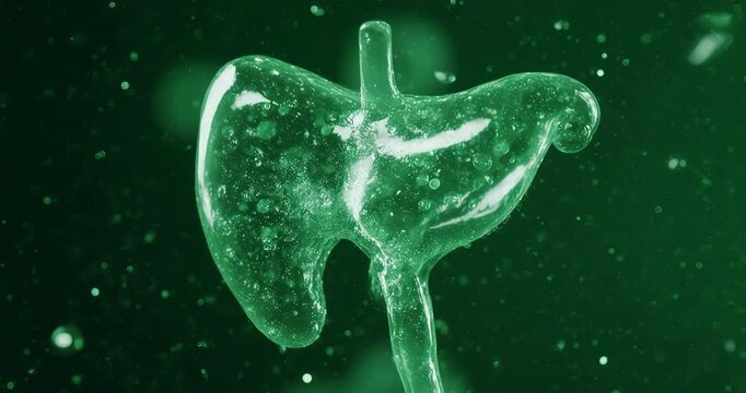 Ethereal Translucent Jade Human Gallbladder Concept