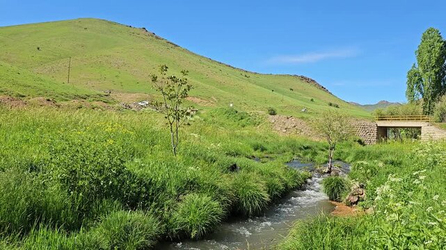 Spring stream flowing through a lush green valley with wild vegetation, gentle hills, and a small bridge under a bright blue sky.
📍 Marivan, Kurdistan, Iran 