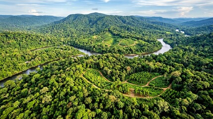 Obraz premium Aerial View of Amazon Rainforest With River and Hills.jpg