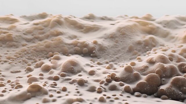 The importance of melanocytes in skin coloration and protection is evident in this image as they are seen evenly distributed throughout the epidermis.