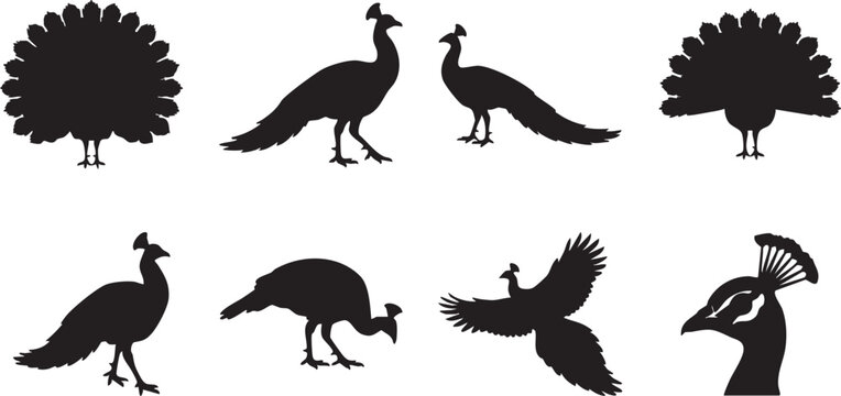 A set of eight black vector bull silhouettes in various dynamic poses and angles on a white background, showcasing strength and power in a graphic illustration design.