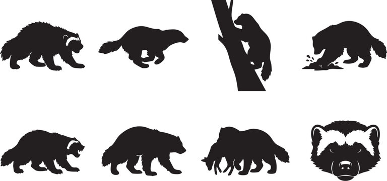 A set of eight black vector bear silhouettes in various poses and a monkey on a tree branch against a white background illustration