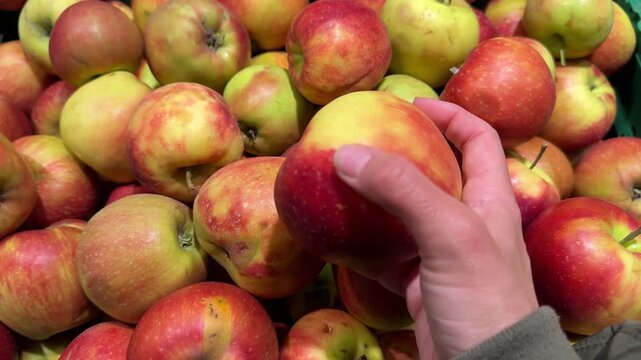 Hand picking fresh red apple from bin in store