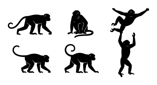 Silhouette Monkey Collection, Primate Vector Icons, Jungle Animals Set, Playful Apes Graphics