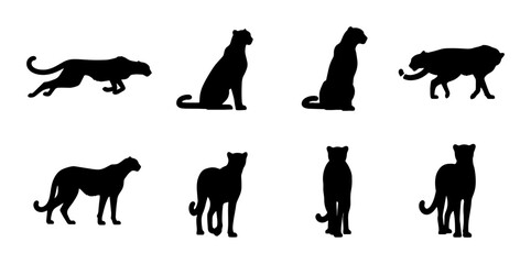 Cheetah Silhouette Set, Wild Cat Vector Graphics, African Big Cat Poses, Elegant Feline Icons, Black and White Animal Illustrations © Rifat