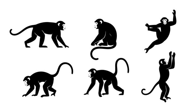 Silhouette Monkey Collection, Primate Vector Icons, Wild Animal Poses, Black and White Graphic Elements, Jungle Fauna Set