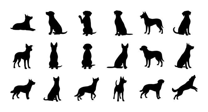Dog Silhouettes Collection, 20 Vector Poses, Canine Breed Icons for Pet Lovers and Animal Graphics