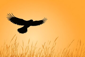 Obraz premium Silhouette of a bird flying over golden fields at sunset