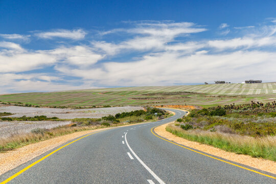 Asphalt road in South Africa surrounded by fields