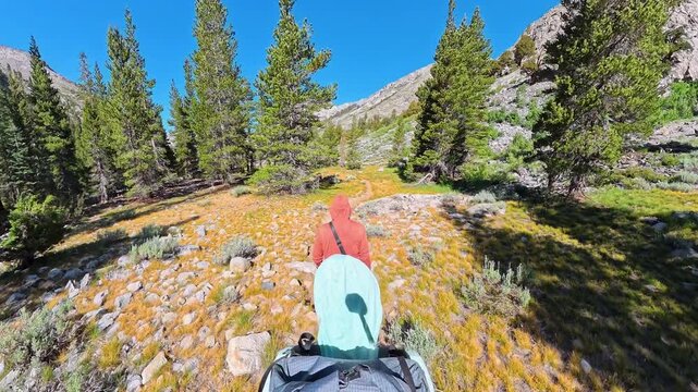 Couple Hikes Through Valley in Kings Canyon High Mountains on the Rae Lakes Loop