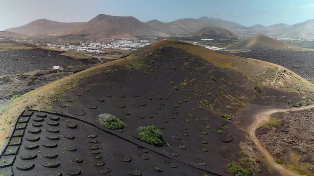 Aerial view of volcanic vineyards in La Geria towards Uga, Lanzarote