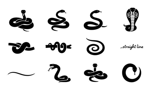 Snake Vector Icons Set, Serpent Silhouettes Collection, Reptile Graphic Elements, Cobra and Constrictor Symbols, Simple Black and White Illustrations
