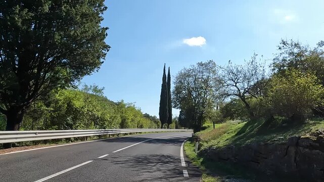 riding down an empty road in italy lined with cypress trees (tall pointed coastal cypresses) Mediterranean coast europe european travel bike biking highway tourism eu trieste