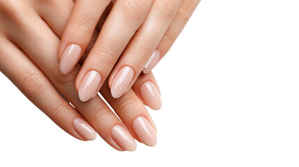 Fototapeta premium Close-up of female hands with professional elegant nude manicure isolated on white background.