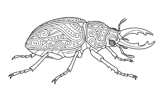 Intricate Stag Beetle Coloring Page for Adults with Zentangle Patterns