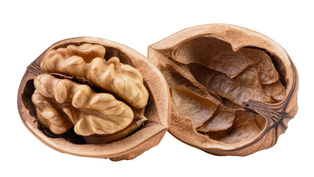 Open walnut with kernel halves and empty shell halves