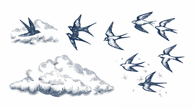 A collection of sketched swallows in flight with cloud formations a vintage style illustration avian birds clouds drawing engraved feathered flying