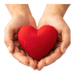 Obraz premium Human hands gently cupping a soft red felt heart in a gesture of care isolated transparent background image