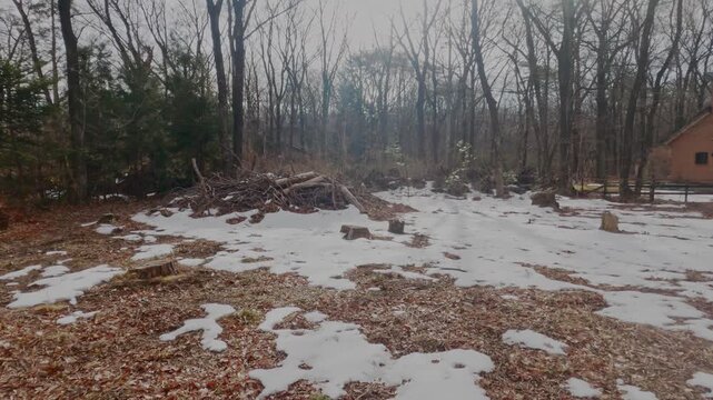 Ground-level view of patchy melting snow across a woodland clearing. Fallen leaves, cut tree stumps, and a rustic structure visible at forest edge signal the transition from winter to spring.