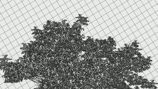 3D animated tree with swaying leaves in wind rendered in green on black background and wireframe styles on white grid, ideal for nature, ecology, CGI, and motion graphic overlay themes.