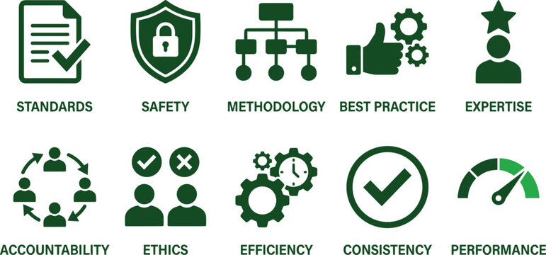 Professional icons showing standards safety methodology best practice expertise accountability ethics and more.