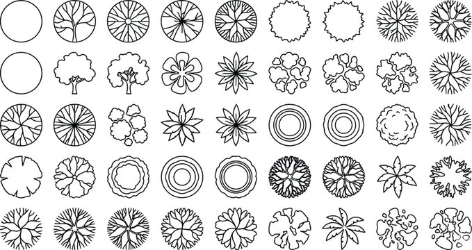 Architectural tree symbols for landscape design, set of 50 top view plant icons, minimalist black outline vegetation vectors for site planning