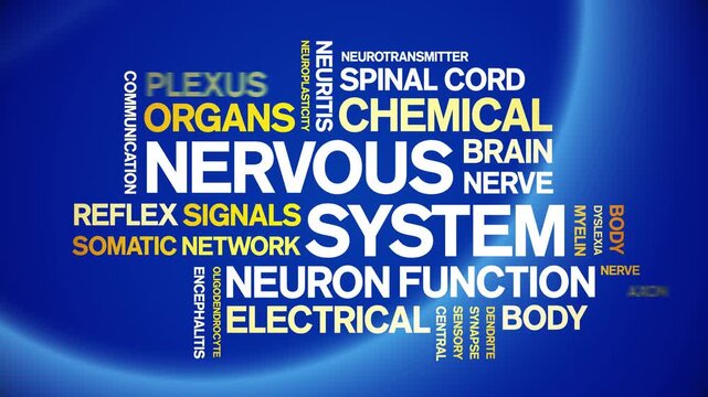 Nervous System animated word cloud-text design animation tag kinetic typography seamless loop.