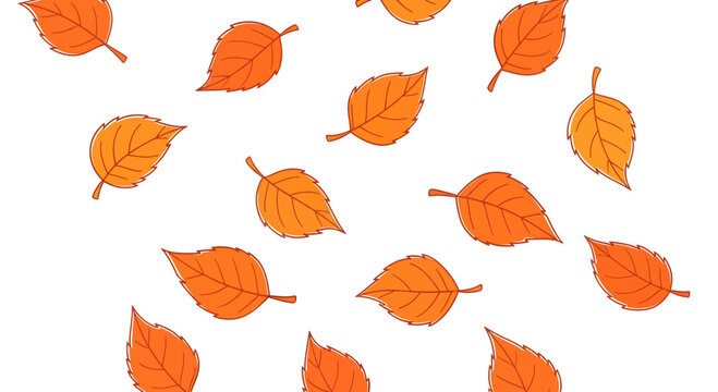 A vibrant collection of orange leaves falling gently in autumn.
