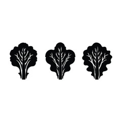 Letus silhoutte vector desgine  © Sabbir