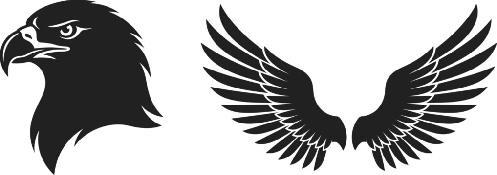 Eagle Head Abstract Black Illustration with a Pair of Matching Dark Wings Showing Various Feathers