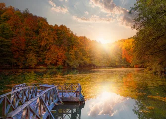 Autumn forest landscape reflection on the water with - Autumn landscape in (seven lakes) National park of  Yedigoller, Bolu  © muratart