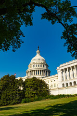 Obraz premium Capitol building in Washington DC. Capitol dome defines US architecture. Capitol stands as federal government symbol. Capitol landmark shows American history.