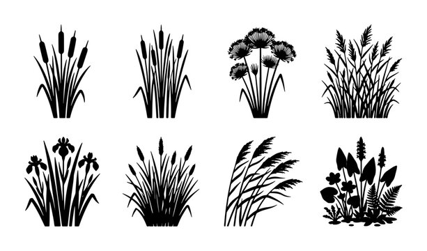 Botanical Vector Silhouettes: Marsh Plants, Reeds, Irises, and Flowers, Nature Elements for Design