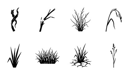 Botanical Vector Icons: Twigs, Grasses, and Stems Collection, Minimalist Black and White Plant Silhouettes for Nature Design Elements © Mouri
