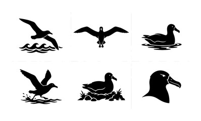 Fototapeta premium Seabird Silhouette Collection: Albatross, Gull, and Duck Vector Icons for Nautical and Wildlife Designs