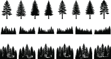 Pine tree silhouettes collection with coniferous forest borders and evergreen fir elements isolated on white background © MDSAMEUL