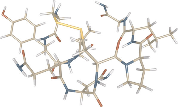 3D Stick Model of Oxytocin Hormone Molecule, Detailed Chemical Structure for Biochemistry Education, Research and Molecular Simulation, Love Hormone Peptide, isolated on transparent background, Atoms