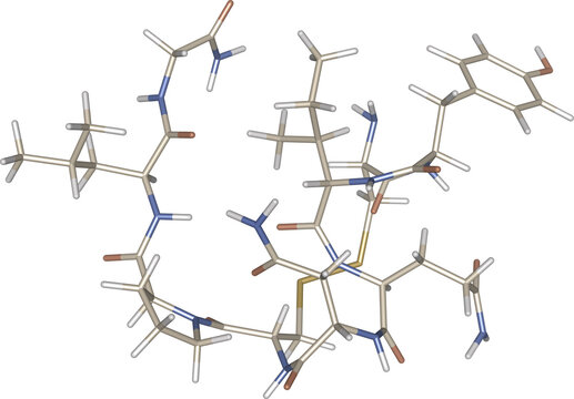 Oxytocin Hormone Chemical Structure 3D Stick Model for Medical Research, Molecular Simulation, and Biochemistry Education, Detailed Peptide Molecule Graphic, isolated on transparent background, Atoms