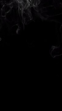Organic Smoke Cloud Motion Background Footage